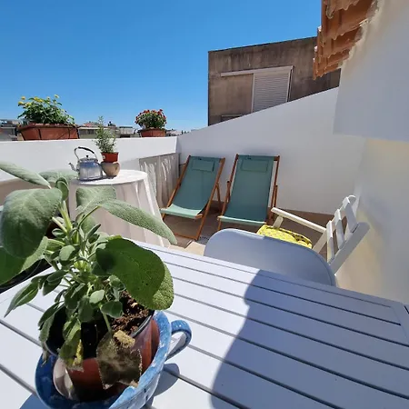 아파트 Deliziosa Mansarda Con Terrazzo A 2 Passi Dal Lido
